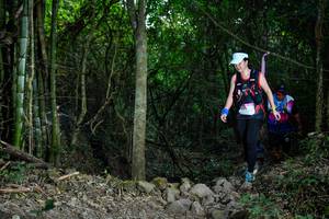 BIB: 
                            <button type="button" onclick="openModal(19439816)" class="btn btn-primary btn-sm float-right btn-popup" data-toggle="modal" data-target=".modal-high-quality">
                        <i class="fas fa-shopping-cart"></i> Add to Cart
                    </button>
                                            <button type="button" onclick="isThisMe(19439816, true)" class="btn btn-success btn-sm float-right btn-popup btn-isme hidden" data-toggle="tooltip" data-placement="bottom" title="นี่คือรูปของคุณใช่ไหม คลิกที่นี่เพื่อเอาเข้าอัลบั้ม">
                        <i class="fas fa-plus"></i> Add to album
                    </button>
                    <button type="button" onclick="isThisMe(19439816, false)" class="btn btn-warning btn-sm float-right btn-popup btn-isnotme hidden">
                        <i class="fas fa-ban"></i> Remove from album
                    </button>